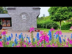 Electric Dinosaur Ride Lifelike Animatronic Scooter Amusement Park for Kids