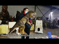 Realistic Dinosaur Hand Puppet Customized For Dino Theme Park