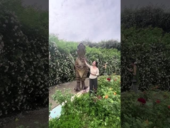 Real Life Looking Dinosaur Costume , Animatronic Lifelike Dinosaur Suit Realistic