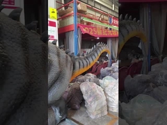 Electric Artificial Dinosaur Model Life Size for Dino Theme Events