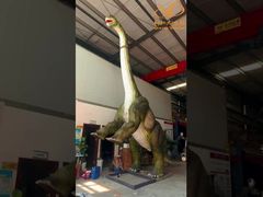 Realistic Long Neck Brachiosaurus Dinosaur Model For Jurassic Park